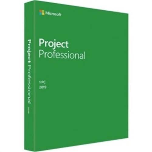 Microsoft Project 2019 Professional D2