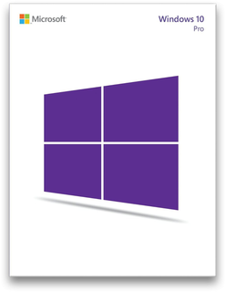 Microsoft Windows 10 Professional W4