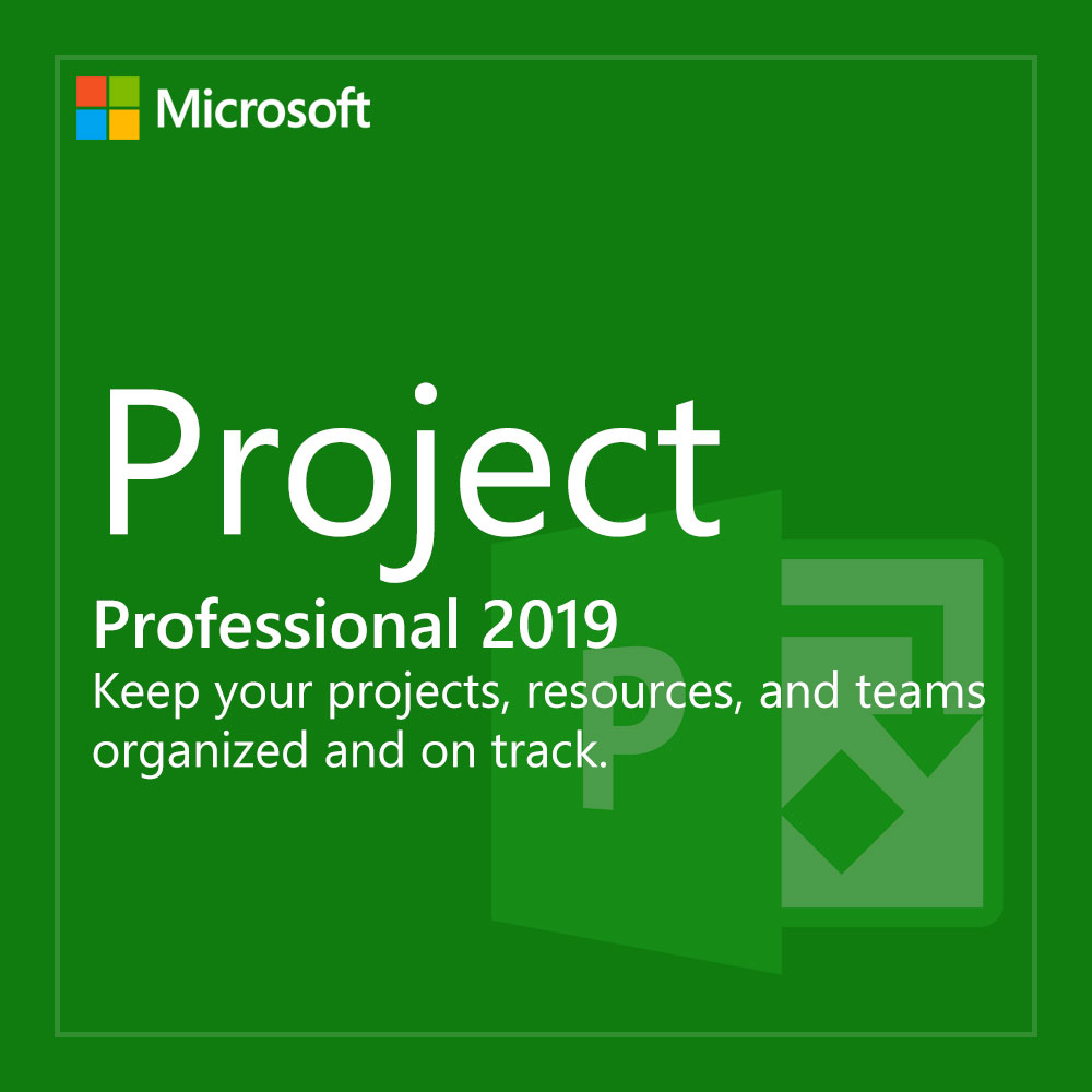 Microsoft Project 2019 Professional Z1